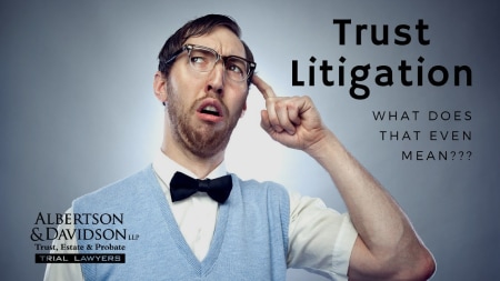 trust litigation thumbnail