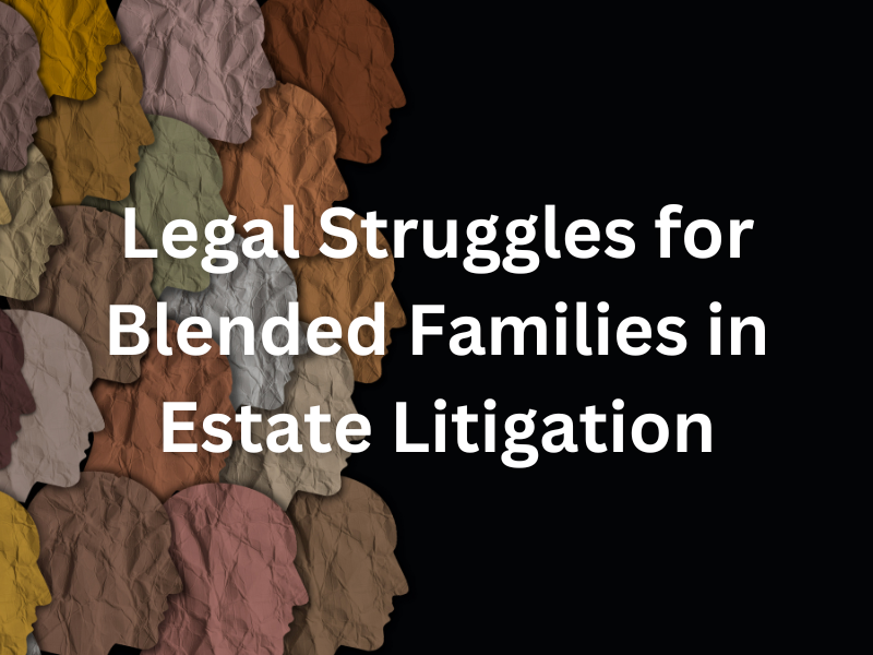 legal struggles for blended families in estate litigation